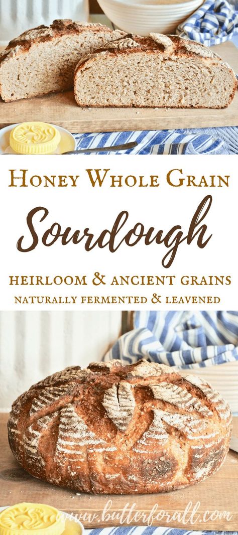 Whole Grain Sourdough, Bread Loaf Recipe, Sourdough Boule, Better Digestion, Real Bread, Healthy Bread, Bread Loaf, Sourdough Baking, Sourdough Bread Recipe