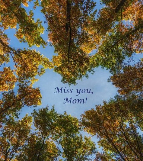 101 Melting Quotes About Missing Mom Happy Thanksgiving In Heaven, Thanksgiving In Heaven, Melting Quotes, Inspirational Quotes For Husband, Quotes About Missing, Miss You Mom Quotes, Missing Mom, Miss Mom, Missing Quotes