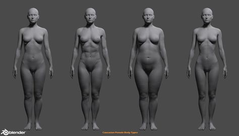 Alex Lashko | 3D Art - Female Custom Basemesh Lowpoly For Blender Zbrush Models, Different Body Types, Average Body, Normal Map, Low Poly 3d, Female Body, Pose Reference Photo, Character Design References, Human Figure