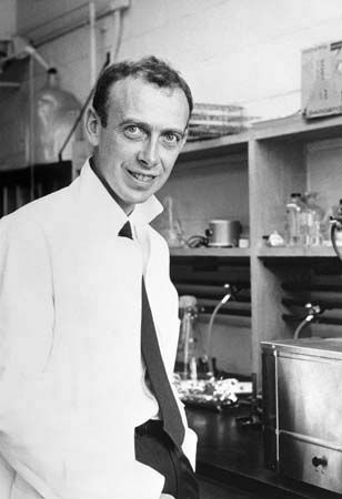 James Watson, Linus Pauling, Rosalind Franklin, Evolutionary Biology, Thought Experiment, Rhetorical Question, Research Assistant, Molecular Structure, Double Helix