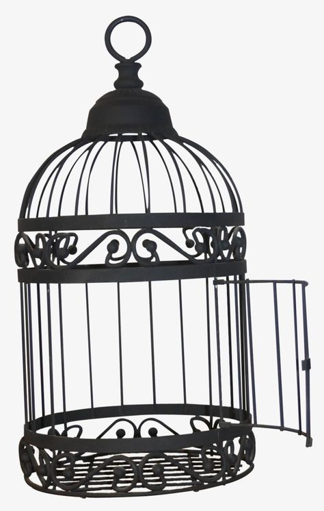 Birdcage Drawing, Birdcage Tattoo, Butterfly Cage, What Is Hope, Bird In A Cage, Cage Tattoos, Black Bird Tattoo, Bird Clipart, Vintage Bird Cage