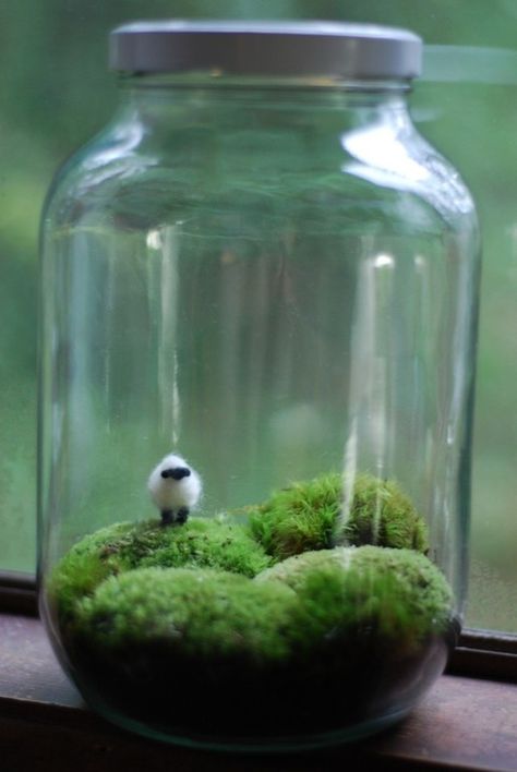 20 decorative mason jar ideas. This cute mason jar landscape created with moss and an animal figurine. Tovad Ull, Irish Landscape, Terraria, Deco Floral, Mason Jar Crafts, Jar Crafts, Miniature Garden, Mini Garden, Animal Figurines