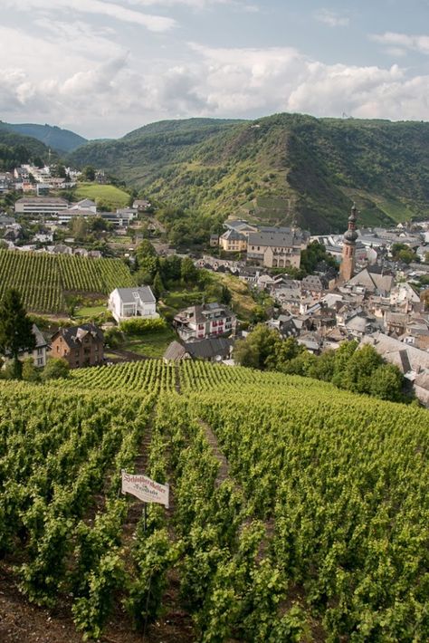 Moselle Valley Germany, Mosel Valley Germany, Dreamy Castle, Cochem Germany, Vila Medieval, Wine Tourism, Cities In Germany, Visit Germany, Wine Travel