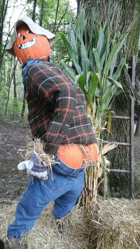 Diy Halloween Scarecrow, Scarecrow Decorations, Scarecrow Festival, Make A Scarecrow, Scarecrows For Garden, Diy Scarecrow, Celtic Festival, Halloween Scarecrow, Barndominium Ideas Interiors