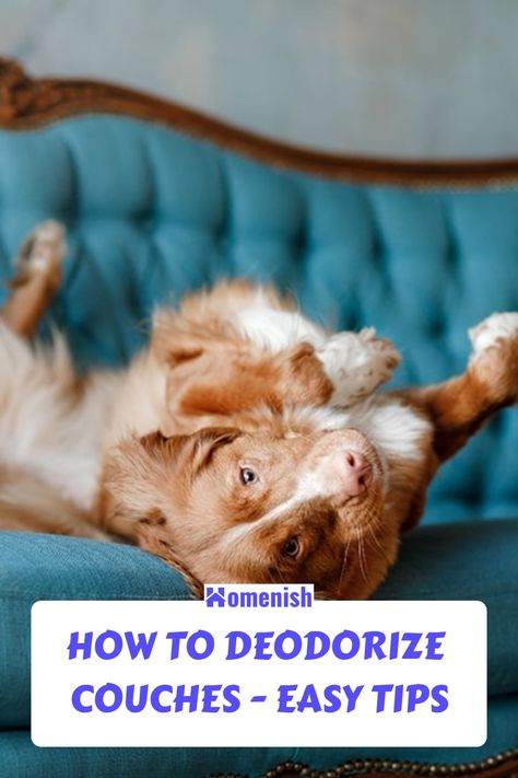 Furniture Odor Eliminator, Remove Pet Odor From Couch, Couch Smells Like Dog, Couch Freshener Diy, How To Get Odor Out Of Couch, Remove Dog Smell From Couch, Furniture Deodorizer Pet Odors, Smelly Couch Remedy, Refresh Couch Cushions Smell