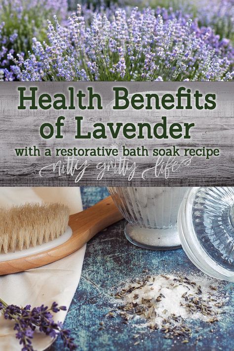 The health benefits of lavender are abundant -- from relaxing sore muscles to soothing burns. Try these restorative lavender bath salts to get a good night's rest! #herbalmedicine #lavender #bathsalts Lavender Benefits Herbs, Benefits Of Lavender Tea, Health Benefits Of Lavender, Lavender Epsom Salt Bath Diy, Lavender Herbalism, Bath Soak Recipe, Lavender Benefits, Natural Antibiotics, Herbal Apothecary