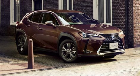 Japan Gets Exclusive Lexus UX250h Brown Edition Lexus Logo, Hanging In There, Car Interior Diy, Toyota Suv, 17 Inch Wheels, Japanese Market, Suv Cars, Super Luxury Cars, Car Colors