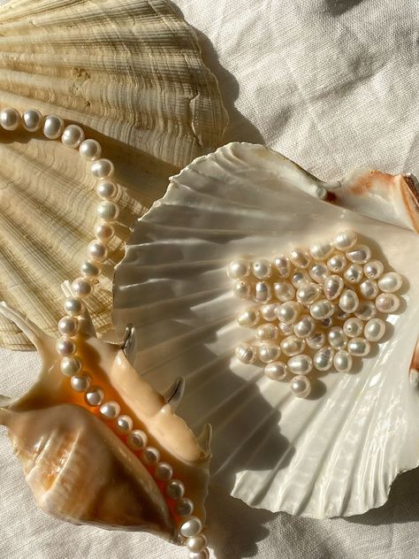 Vintage Pearls Aesthetic, Pearls Aesthetic Wallpaper, Pearl Jewelry Aesthetic, Pearls Aesthetic, Shells And Pearls, Pearl Aesthetic, Pearl Wallpaper, Lifestyle Content Creator, Mermaid Core