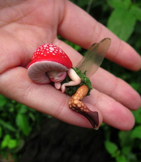 Woodland Mushroom Fairy, Tiny Fairy, Bumbo, Mushroom Fairy, Slaap Lekker, Clay Fairies, Fairy Pictures, Fairy Crafts, Baby Fairy