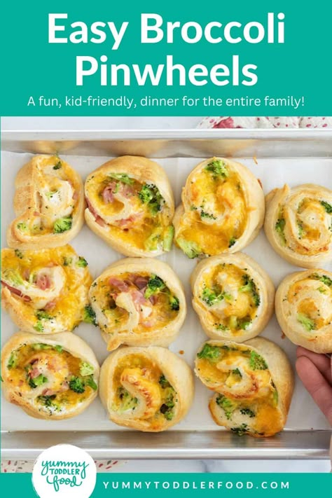 Broccoli cheese pinwheels on baking sheet. Broccoli Cheese Pinwheels, Healthy Lunches For School, Quick Family Dinner Ideas, Toddler Lunch Ideas, Wheat Pizza Dough, Lunch For Kids, Cheese Pinwheels, Quick Family Dinners, Easy Toddler Meals