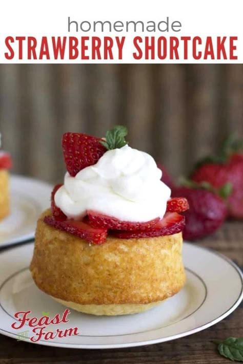 Strawberry Shortcake Mini, Homemade Strawberry Shortcake, Shortcake Cake, Strawberry Shortcake Cake, Strawberry Shortcakes, Strawberry Shortcake Recipes, Shortcake Recipe, Salty Cake, Small Desserts