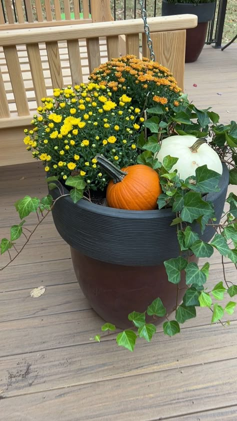 fall mums, fall pumpkins, easy fall container decor Pumpkin Mum Planter, Fall 2023 Front Porch, Pumpkin In Planter Front Porches, Flower Pot Fall Decor, Small Porch Mum Decor, Fall Mums Planters, Fall Plants For Containers, Easy Fall Porch Decorating Ideas, Fall Front Porch Decor With Pumpkins And Mums