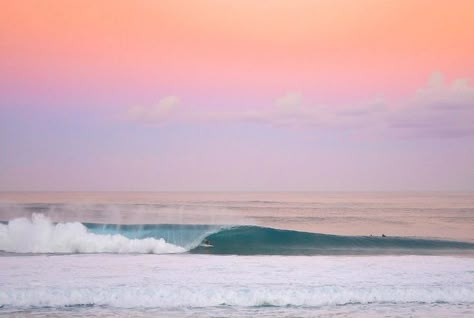 Pink Pipe, Surfing Wallpaper, Beachy Wallpapers, Retro Surf Art, Macbook Pro Wallpaper, Desktop Wallpaper Macbook, Surfing Aesthetic, Laptop Wallpaper Desktop Wallpapers, Computer Backgrounds