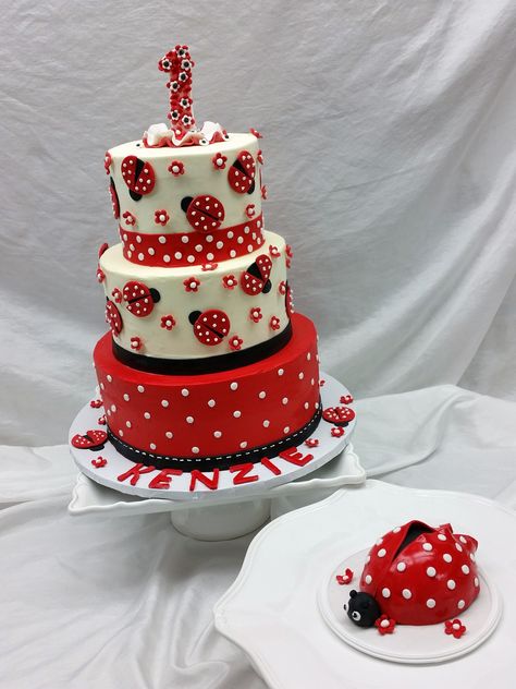 Ladybug Smash Cake Ideas, Ladybug Birthday Cake Ideas, Ladybug First Birthday Cake, Ladybug Smash Cake, Ladybird Cake, Ladybug Cakes, Different Kinds Of Cakes, Bug Cake, Ladybug Cake