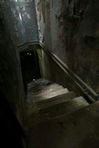 Stairs Art, Stair Art, Dark Basement, Apocalypse Aesthetic, Rpg Horror, Basement Stairs, Cellar Door, State School, Art House