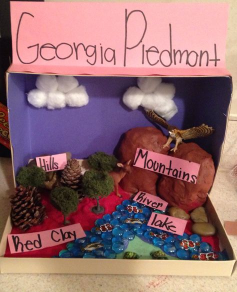 My Daughters Georgia Habitat Diorama Georgia Piedmont Region Project, Georgia Habitats 3rd Grade Project, Georgia Regions Project, Georgia Habitats, Habitat Diorama, Habitat Project, Georgia Regions, Habitats Projects, Cells Project