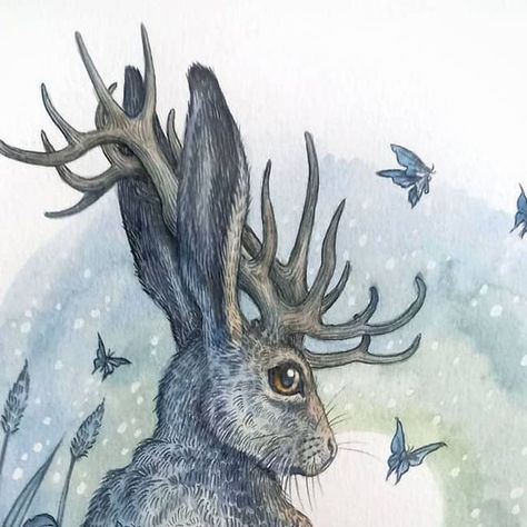 Adam Oehlers on Instagram: "Hello again everyone 😊 It's day one of our 12 Day Winter Draw, hosted by the amazing @nomkinnearking @natachachohraart and myself. We've been loving seeing what everyone has been creating today! Here's my piece for you for the 'Antlers' prompt. This is my 'Jackalope'. This piece is available now in our Nomadicalley shop, head on over for the details, the link to my shop is on my profile. www.nomadicalley.bigcartel.com Tomorrow's theme is 'Crown', make sure t Jackalope Drawing, Adam Oehlers, Jackalope Art, Card Homemade, Homemade Ideas, Fantasy Concept, Thyroid Health, Gourd Art, Fantasy Concept Art