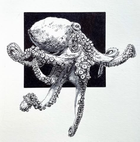 Octopus Drawing Sketches, Octopus Art Drawing, Octopus Sketch, Pointalism Art, Batman Art Drawing, Marine Life Art, Octopus Drawing, Octopus Art, Pen Sketch