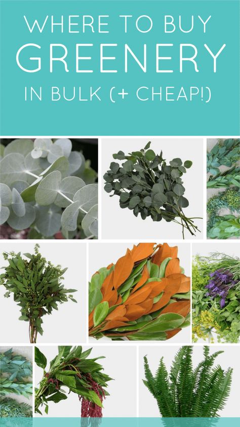 Where to Buy Greenery in Bulk for Weddings (Cheap!) | Emmaline Bride Greenery For Bouquets, Wedding Save Money, Cheap Centerpieces, Save Money Wedding, Greenery Wedding Centerpieces, Wholesale Succulents, Greenery Wedding Decor, Greenery Centerpiece, Greenery Bouquet