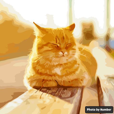 Tn White, Ginger Cat Art, Kitten Drawing, Creation Art, Cat Hacks, Gwen Stacy, Sun Art, Cat Owner, Cat Aesthetic