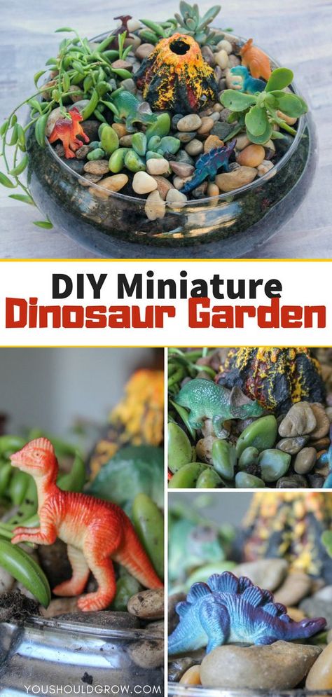 Miniature dinosaur garden diy: make this fairy garden for boys filled with succulent plants, mini dinos, and a volcano! Dinosaur Garden, Fairytale Garden, Succulent Garden Diy, Fairy Garden Diy, Diy Garden Projects, Garden Designs, Succulent Plants, Garden Lovers, Gardening For Kids