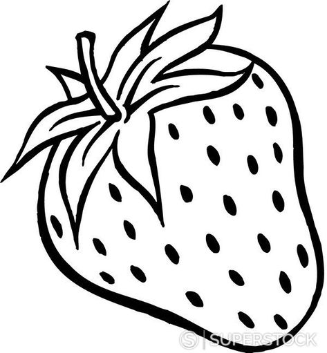 A black and white drawing of a plump strawberry - Superstock Strawberry Plant Drawing, Drawing Of Strawberry, Strawberry Clipart, Strawberry Drawing, Strawberry Tattoo, Strawberry Plant, Fruit Clipart, Fruit Coloring Pages, Fruits Drawing