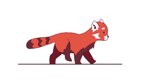 Fox Gif, Run Cycle, Red Pandas, Fennec Fox, Animation Reference, Fox Racing, Red Panda, Cool Animations, 영감을 주는 캐릭터