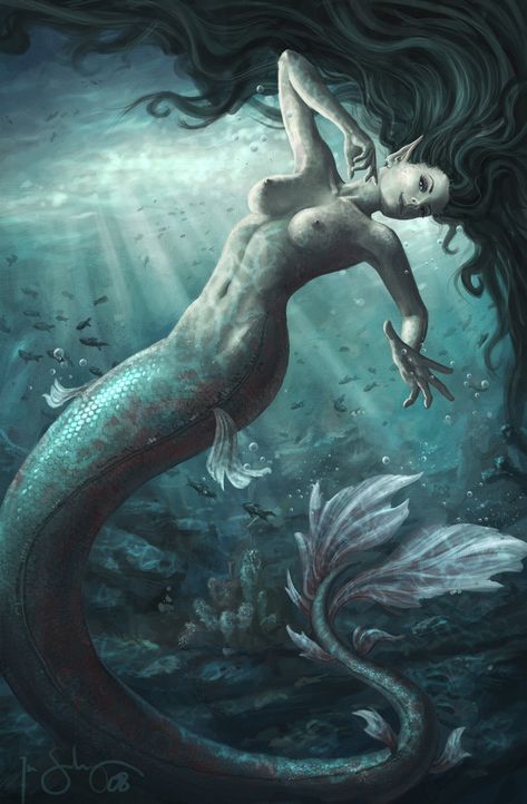 Mermaid And Pirate, Pirate Mermaid, Mermaid Pirate, Mermaids Kissing, Mermaid Cove, Fantasy Mermaids, Dark Portrait, Fantasy Mermaid, Mermaid Pictures