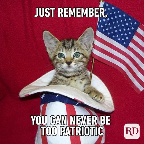 4th Of July Funny Pictures, 4th Of July Captions, Fourth Of July Meme, 4th Of July Songs, Usa Meme, Gif Quotes, American Meme, 4th Of July Images, Caw Caw