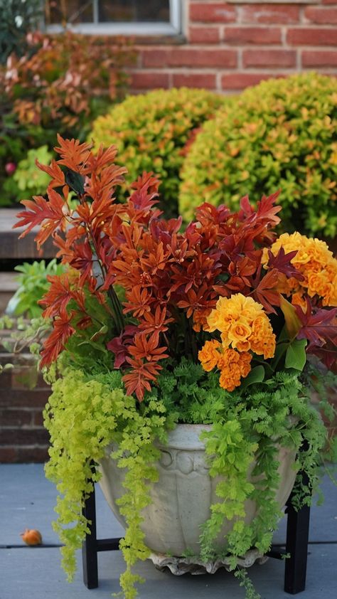 Explore inspiring fall garden ideas in this comprehensive blog post From planning your vegetable garden to creating the perfect party or wedding aesthetic in Zone 7 you'll find a wealth of planting ideas to enhance your vegetables in Zone 6 Zone 9 and design Zone 6 Fall Garden Ideas, Fall Flower Pots, Pumpkin Dump Cake Recipe, Fall Gardens, Pumpkin Dump, Creative Garden Ideas, Fall Container Gardens, Ornamental Kale, Ornamental Cabbage