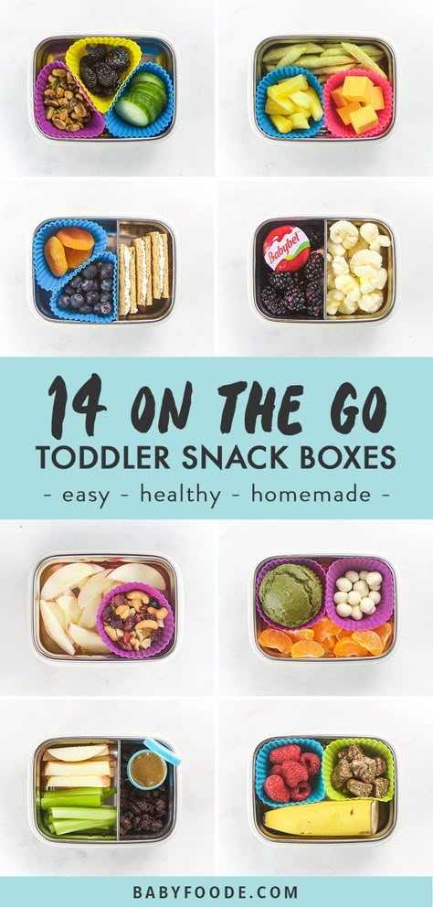 14 On-The-Go Toddler Snacks that are easy, healthy and delicious! If you have a toddler and need some snack ideas, look no further. These 14 snack box ideas are perfect for lunch, travel, road trips, and more! #onthego #homemade #healthy #kids #toddlers #snacks Snack Box Ideas, Healthy Store Bought Snacks, Snacks For Toddlers, Kids Snack Box, Store Bought Snack, Toddler Snack, Easy To Make Snacks, Healthy Toddler Snacks, Snack Boxes