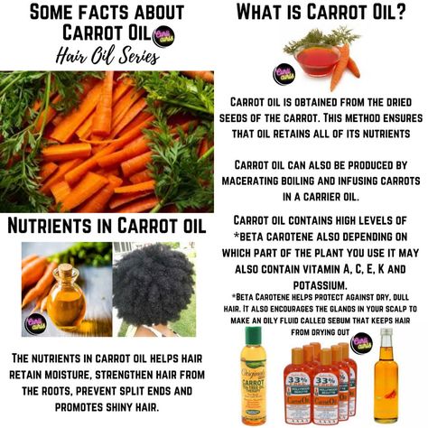 Carrot Oil For Hair, Carrot Benefits, Carrot Oil, Carrots Oil, Hair Oils, Oil For Hair, Dull Hair, Beta Carotene, Awesome Quotes