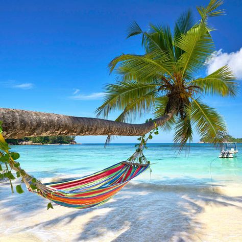 Tropical Paradise Beach, Beach Hammock, Portable Hammock, Camping Hammock, Beach Vacation Outfits, Beach Wallpaper, Get Outdoors, Beach View, Vacation Mode