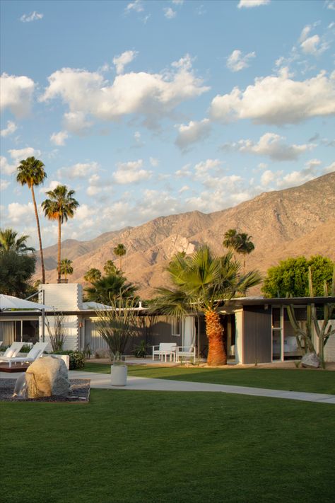 Palm Springs Country Club, Palm Springs Bungalow, Palm Springs Asethic, Palm Desert Aesthetic, Retro Palm Springs Aesthetic, Palm Springs Mid Century Modern Interior, 1950s Palm Springs, Palm Springs Landscape, 1960s Palm Springs