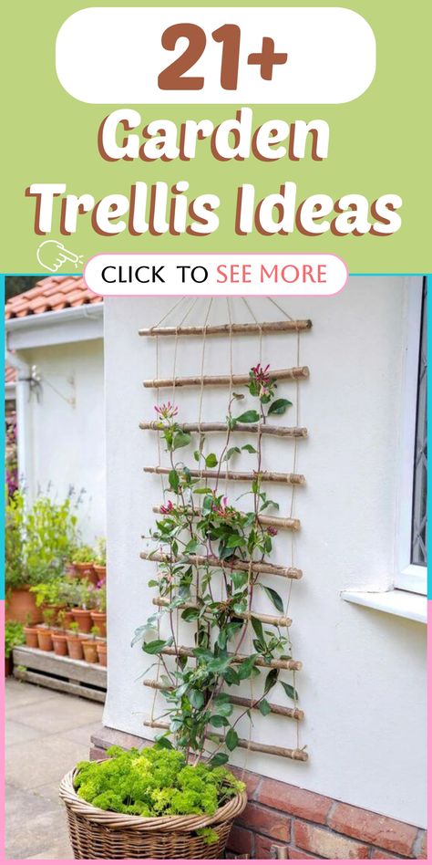 Discover innovative Garden Trellis Ideas to elevate your outdoor space with charm and practicality. Enhance your garden by incorporating trellises creatively, whether you're cultivating climbing plants, seeking a focal point, or desiring privacy. Embrace the versatility of trellises to maximize space while beautifying your garden. Transform your outdoor oasis into a lush and inviting sanctuary with these inspiring ideas. Explore the potential of Garden Trellises today! Cheap Trellis Ideas, Star Jasmine Trellis, Cheap Trellis, Vibrant Flower Arrangements, Dry Riverbed Landscaping, Clematis Trellis, Garden Trellis Ideas, Vine Plants, Trellis System