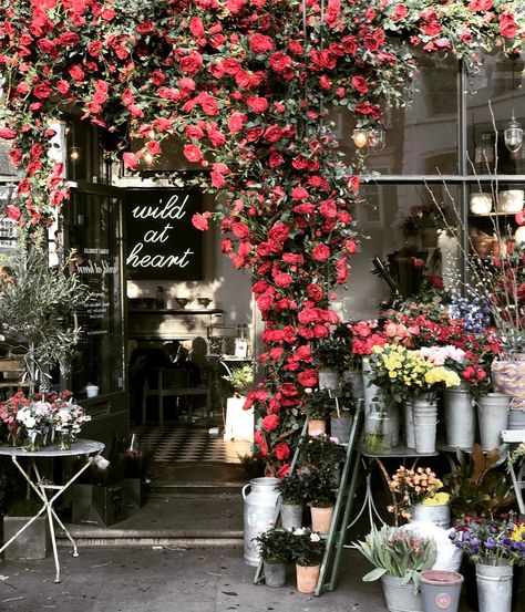 London florist Unfiltered Background, Flower Shop Interiors, Blackpink Icons, Flower Store, Flower Bar, Florist Shop, Shop Interiors, Beautiful Bouquet, Flower Market