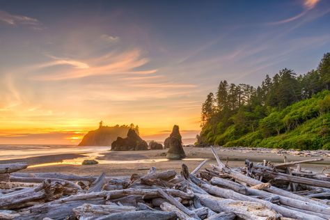 The Top 10 Olympic Peninsula Road Trip Stops | Select Registry Ruby Beach Washington, Date Spots, Rialto Beach, Cape Hatteras National Seashore, Point Reyes National Seashore, Dry Tortugas National Park, Olympic Mountains, Redwood National Park, Beach Weekend