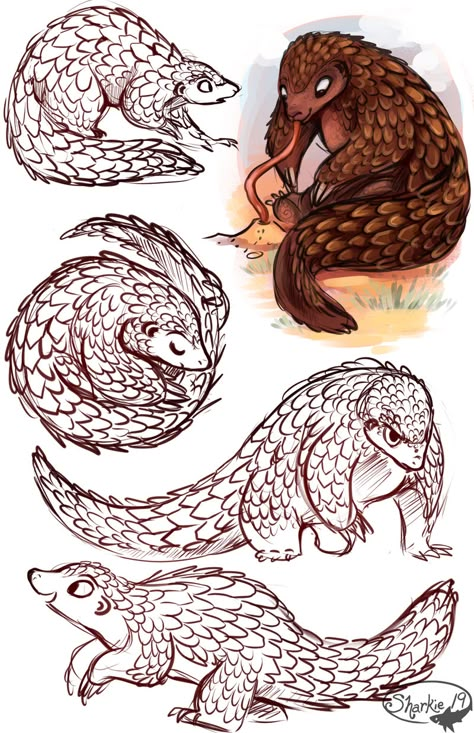 Pangolins by sharkie19 on DeviantArt Pangolin Character Design, Pangolin Tattoo, Pangolin Drawing, Pangolin Illustration, Pangolin Art, Atrapasueños Tattoo, Komodo, Sketch Inspiration, Animal Sketches