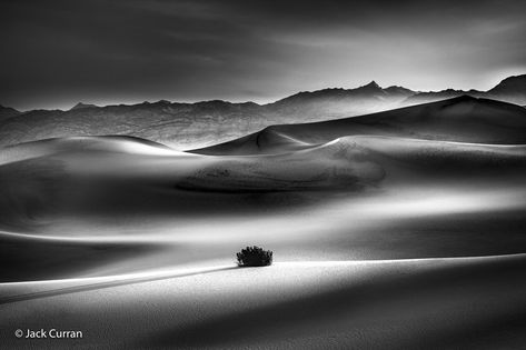 Light play in Landscape Photography in Desert by Jack Curran Film Landscape, Desert Photography, Black And White Landscape, Black And White Film, Photography Gallery, Lightroom Presets Free, Black White Photos, Morning Light, Magazine Photography