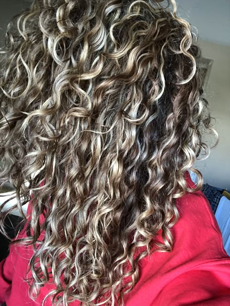 Curly Hair With Lowlights And Highlights, Highlighted Permed Hair, Highlight Lowlight Blonde Curly Hair, Curly Hair Highlights Lowlights, Medium Brown Hair With Highlights Curly, Hair Dye Ideas Highlights, Fine Blonde Highlights, Ash Blonde Highlights Curly Hair, Curly Hair Dye Ideas Highlights