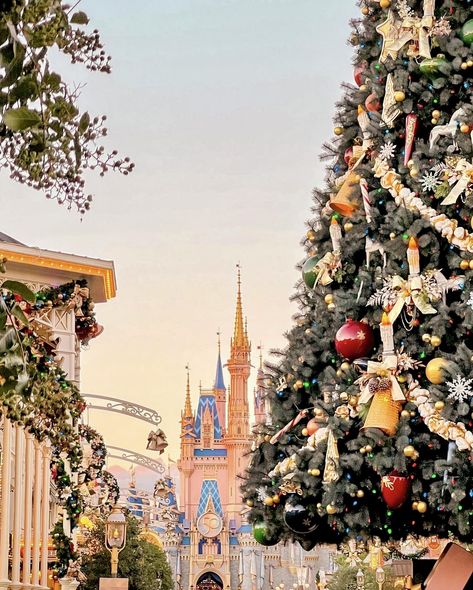 Disney Christmas Wallpaper Aesthetic, Christmas In Disney, Orlando Christmas, Christmas Instagram Pictures, Disney World Aesthetic, Alice In Wonderland Pictures, Disney Poses, Christmas At Disney, Christmas Wallpaper Iphone Cute