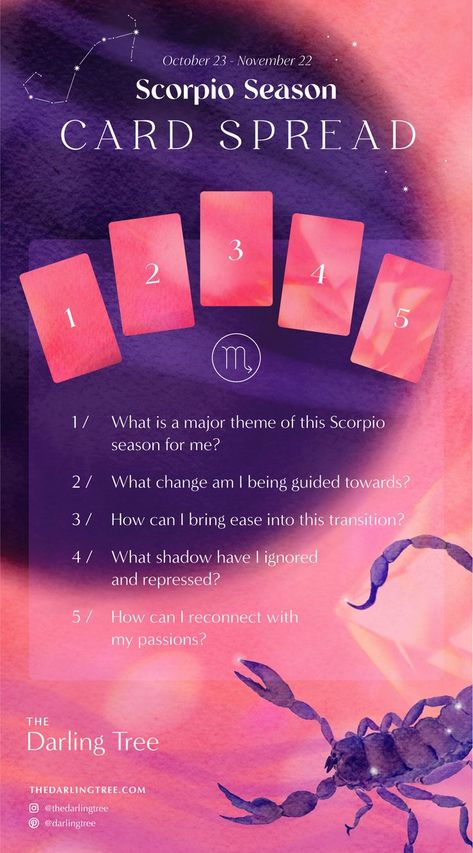 Here is an illuminating 5-card oracle card spread you can do during Scorpio season between October 23 to November 22, for the new moon in Scorpio, or anytime if your zodiac sign is Scorpio. Grab your favourite oracle or tarot deck, or mix it up if you like. Shuffle the cards, and ask these questions as you draw each card. #scorpioseason #scorpiozodiac #scorpiostarsign #scorpiosun #scorpionewmoon #guidance #freeart #affirmations #freeprint New Moon In Scorpio, Oracle Card Spreads, Moon In Scorpio, Scorpio Star Sign, Tarot Reading Spreads, Moon Names, Tarot Card Spreads, New Moon Rituals, Oracle Card Reading