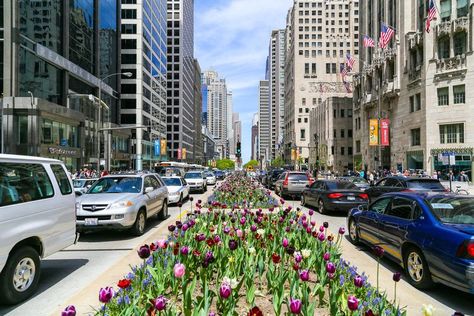 Michigan Avenue Chicago Shopping, Michigan Avenue Chicago, Skydeck Chicago, Chicago Magnificent Mile, Chicago Vacation, Things To Do In Chicago, American Holidays, Magnificent Mile, Chicago Neighborhoods