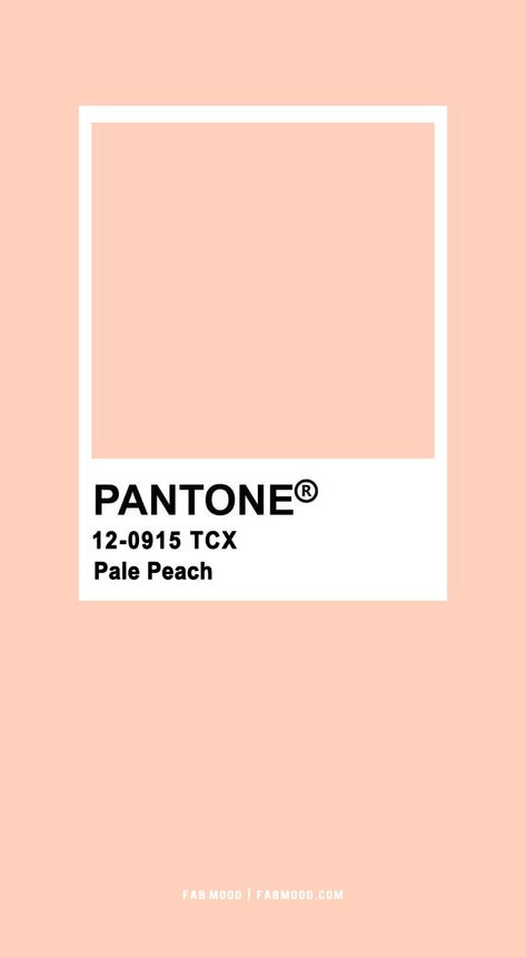 Garden Wedding In Soft Pink and Peach Colour Theme | fabmood Light Peach Color Palette, Cute Colour Palette, One Colour Background, Wedding Moodboard Inspiration, Peach Pantone, Peach Colour Palette, Peach Color Palettes, Cottage Core Outfit, Silhouette Face