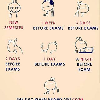 😂😂😂 Day Before Exam Funny, One Day Before Exam Funny, Before Exam Funny, One Day Before Exam, Day Before Exam, Exam Funny, Night Before Exam, Before Exam, Exams Funny