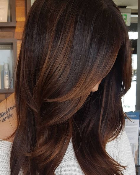 Copper Highlights For Dark Hair Highlights For Dark Brown Hair, Jamie Chung, Chocolate Brown Hair, Redken Shades Eq, Dark Hair With Highlights, Trendy Hair Color, Hair Color Highlights, Brown Hair With Highlights, Dark Brown Hair