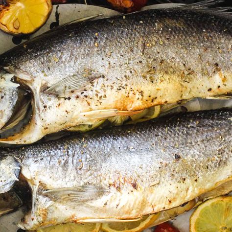 Air Fryer Whole Fish, Branzino Recipe Filet Air Fryer, Branzino Fillets Recipe, Bronzino Fish Recipe, Whole Trout Recipes, Branzino Recipe, Air Fryer Fish, Trout Recipes, Aussie Food