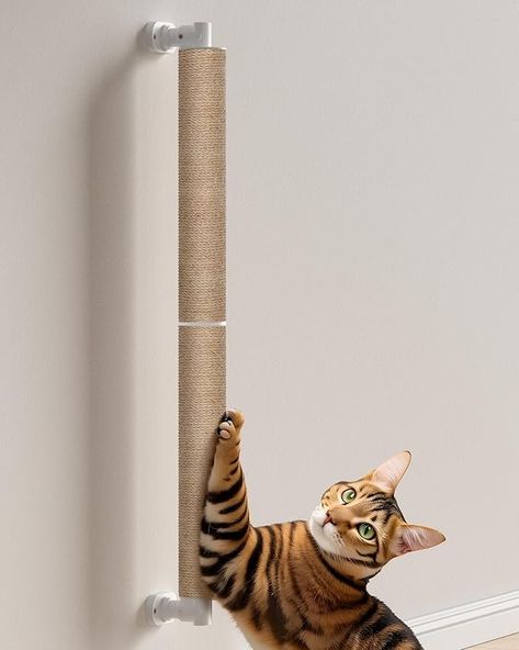 Amazon.com : SVD.PET Cat Scratching Post Wall Mounted, 37.5" Tall Cat Scratcher for Wall with Hanging Toys, Jute Cat Wall Scratcher for Large Cats Indoor Cat Wall Furniture : Pet Supplies Cat Wall Scratcher, Help Cat, Cat Scratcher Post, Cat Wall Furniture, Pva Glue, Wall Furniture, Cat Scratch, Cat Help, Cat Scratching Post