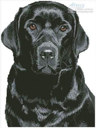 Black Labrador by Tereena Clarke Black Lab Cross Stitch, Lab Cross Stitch, German Shorthaired Pointer Black, Labrador Dogs, Black Labrador Dog, Dogs Black, Pointer Puppies, White Symbol, Learn Embroidery