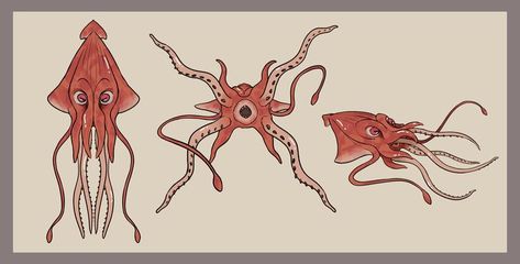 Squid Character Design, Squid Art, Character Design Sheet, Design Sheet, Giant Squid, Octopus, Moonstone, Shells, Character Design